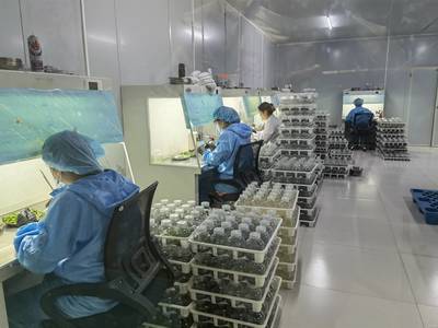 技術(shù)推廣服務 推動創(chuàng)新落地與產(chǎn)業(yè)升級